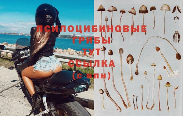 альфа пвп Аша