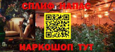 гашик Волжский
