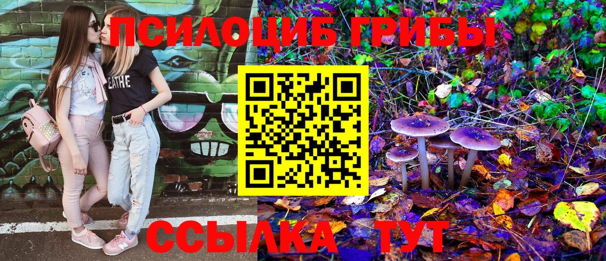 Галлюциногенные грибы прущие грибы Ефремов