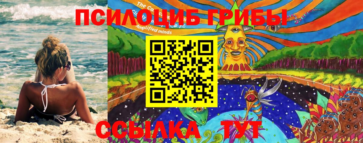 Псилоцибиновые грибы Magic Shrooms  купить закладку  Галлюциногенные грибы GOLDEN TEACHER  Ефремов 