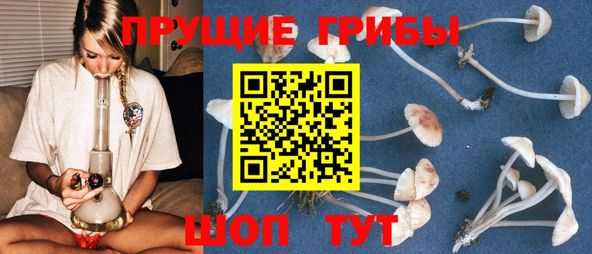 Галлюциногенные грибы Cubensis Ефремов