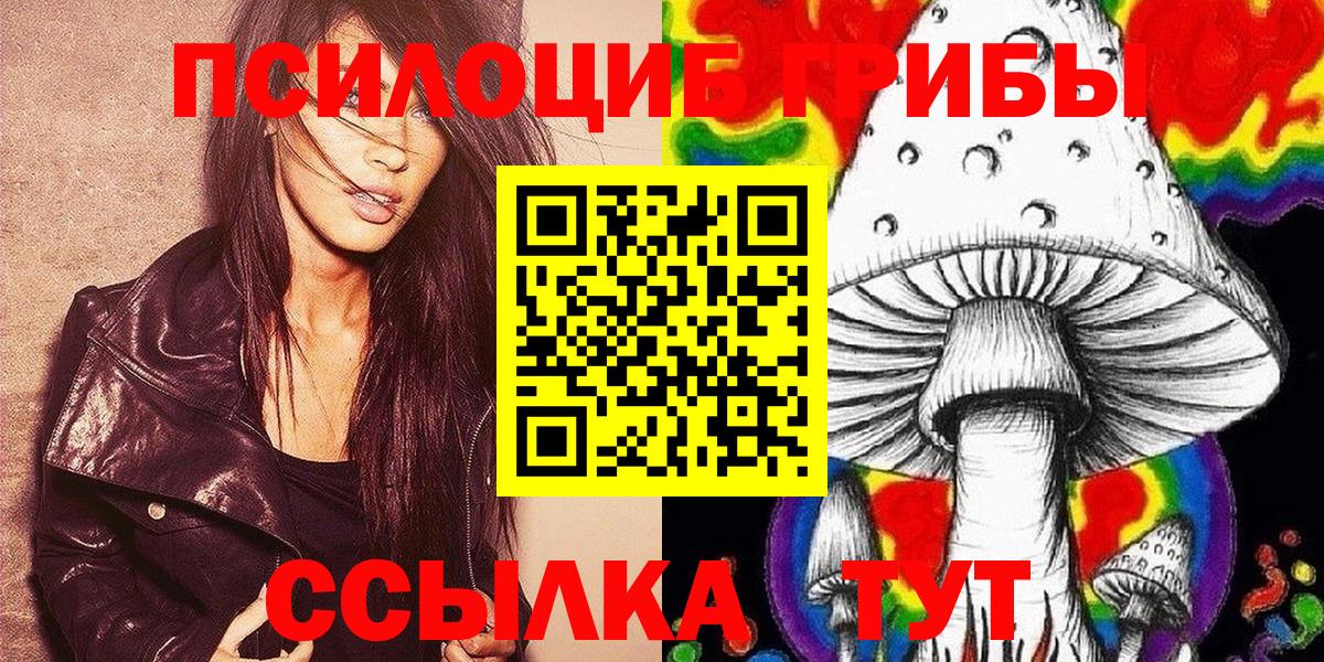 Ефремов  Галлюциногенные грибы Psilocybine cubensis  Вход с VPN 
